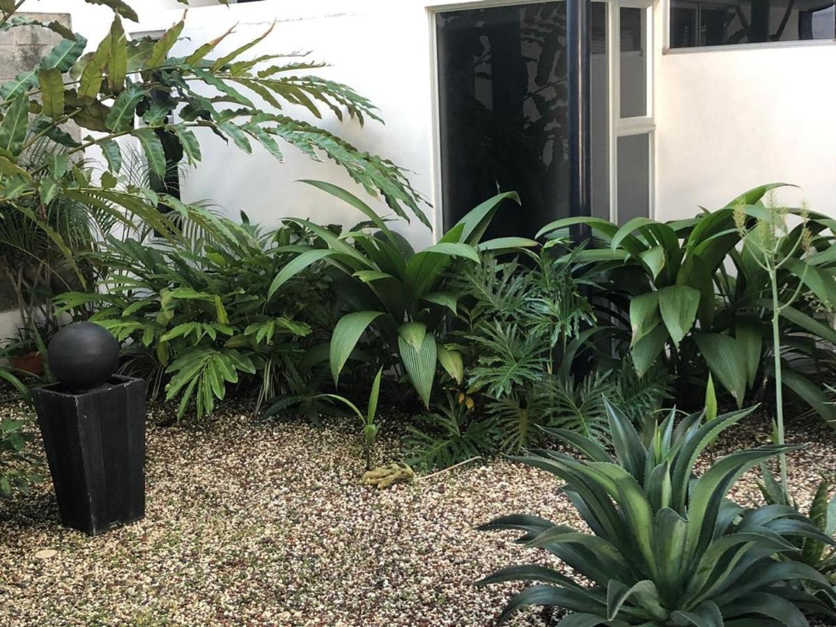 Costa Rica San Jose Full And Comfortable Apartament Pinares Curridabat Exterior foto